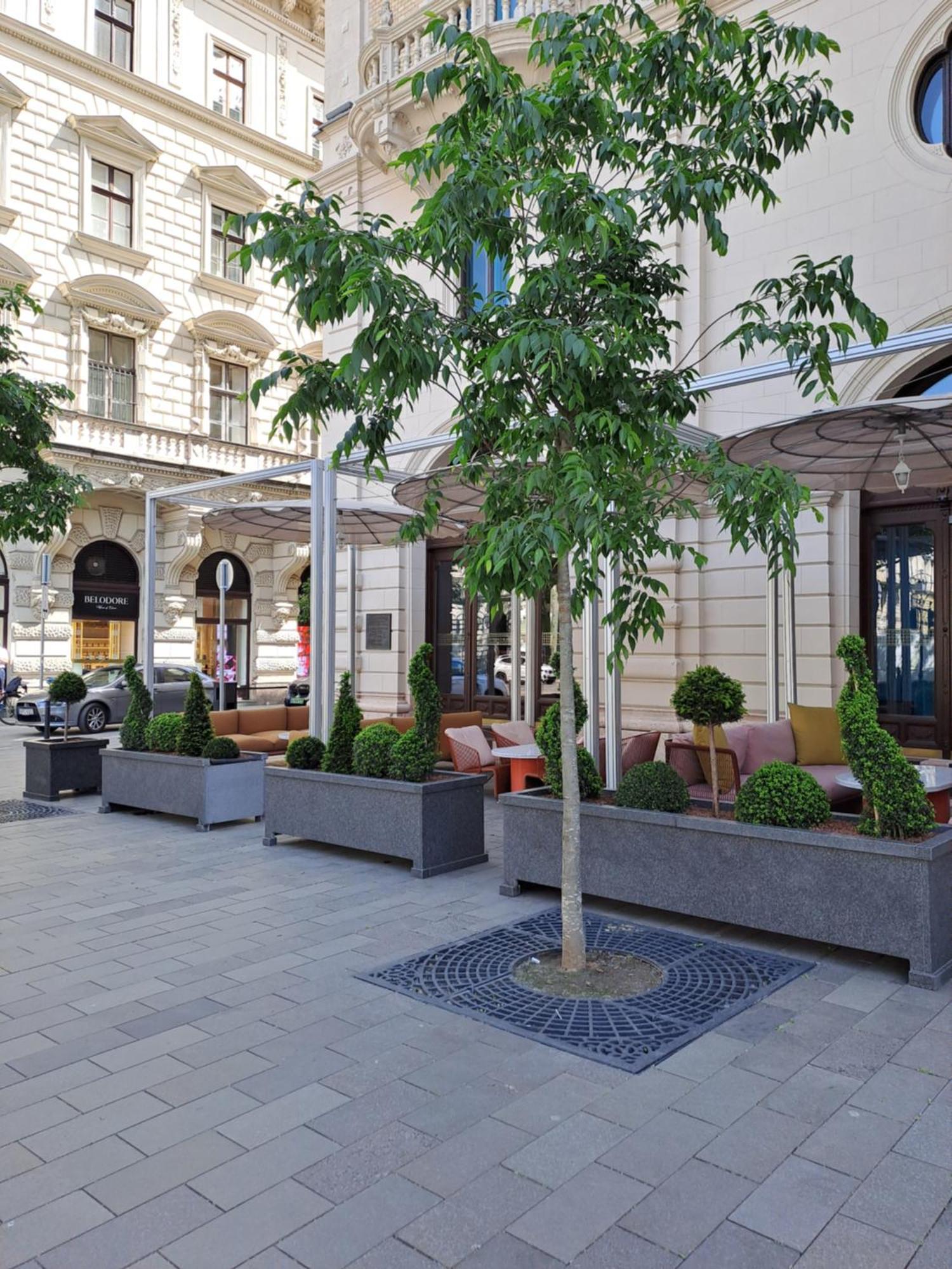 Cute Downtown Apartment Budapest